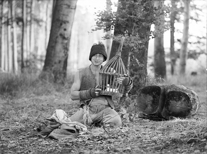 Nebojsa - Film - Ondřej Vetchý