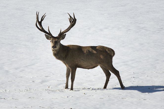 Unsere Wildnis - Filmfotos