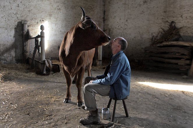 One Man and His Cow - Photos - Fatsah Bouyahmed