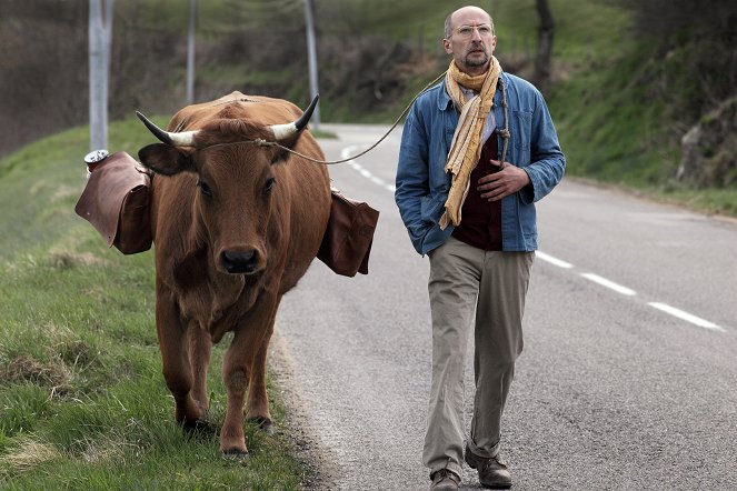 One Man and His Cow - Photos - Fatsah Bouyahmed