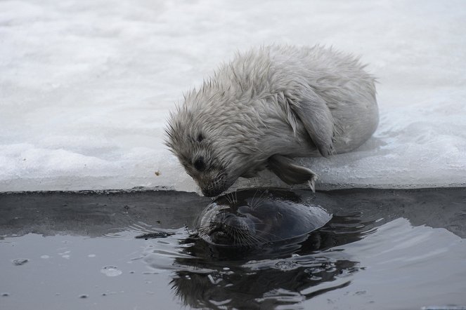 Tale of a Lake - Photos