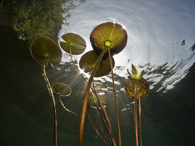 Tale of a Lake - Photos