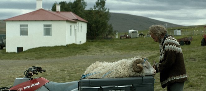 Barany. Islandzka opowieść - Z filmu - Sigurður Sigurjónsson