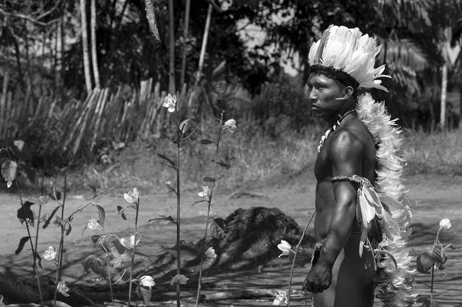 Embrace of the Serpent - Photos - Nilbio Torres
