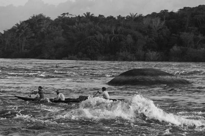 Embrace of the Serpent - Photos