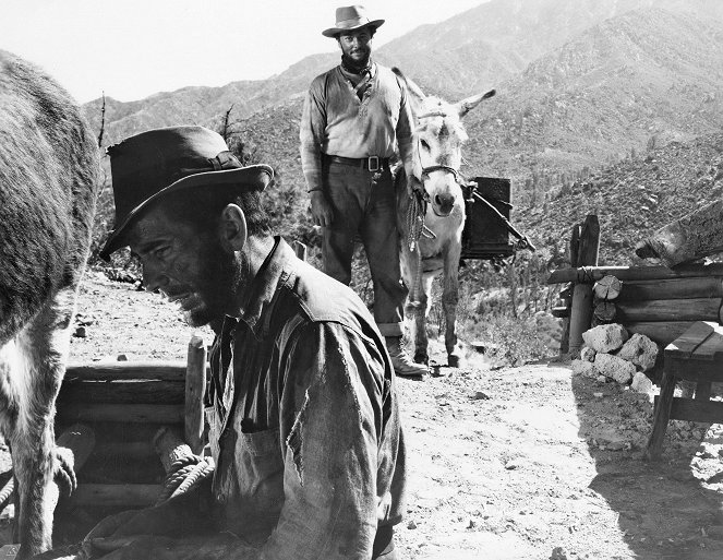 Le Trésor de la Sierra Madre - Film - Humphrey Bogart, Tim Holt