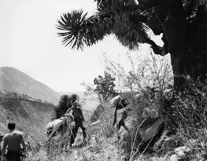 A Sierra Madre kincse - Filmfotók