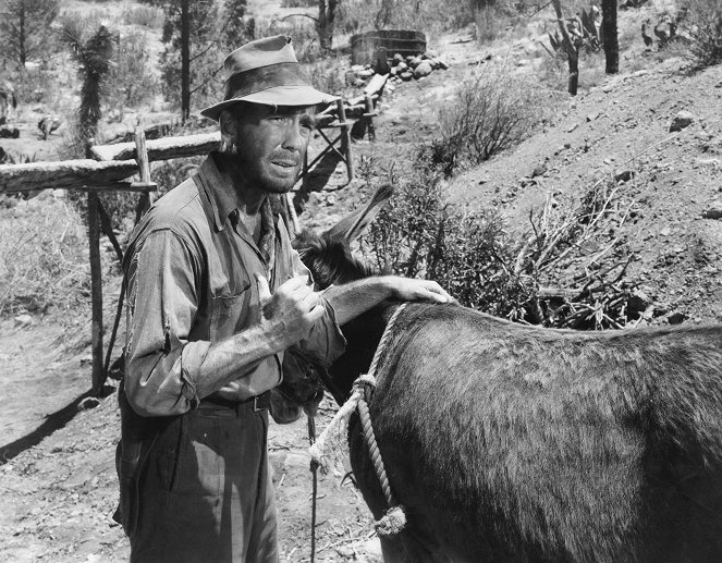 Sierra Madren aarre - Kuvat elokuvasta - Humphrey Bogart