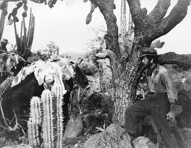 O Tesouro da Sierra Madre - Do filme - Humphrey Bogart