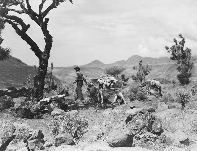 Sierra Madren aarre - Kuvat elokuvasta
