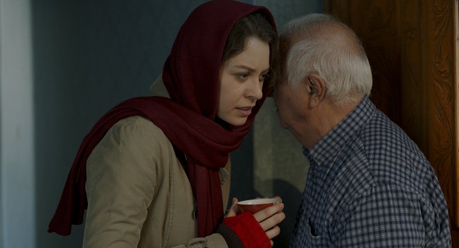 Yek Shahrvand-e Kamelan Maamouli - Van film