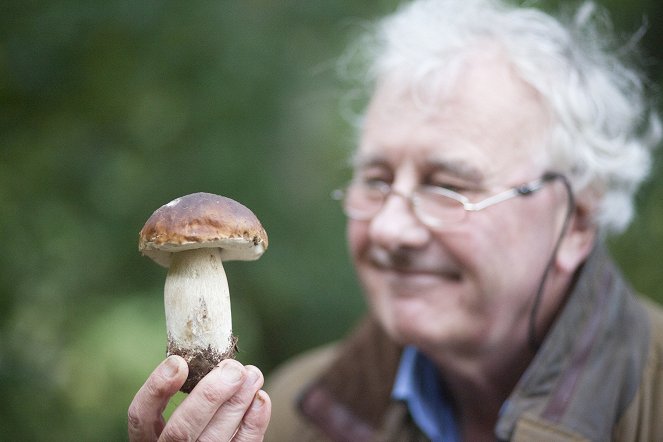 The Magic of Mushrooms - De la película