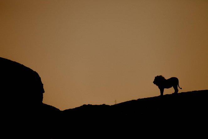 Katoavat kuninkaat - Namibin leijonat - Kuvat elokuvasta