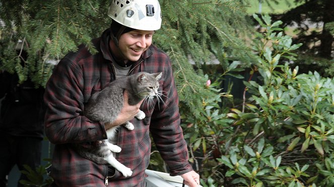 Treetop Cat Rescue - Z filmu