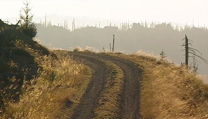 Cesty a scestí Jizerských hor - De la película
