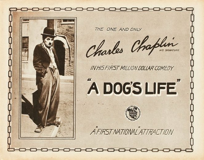 A Dog's Life - Cartes de lobby