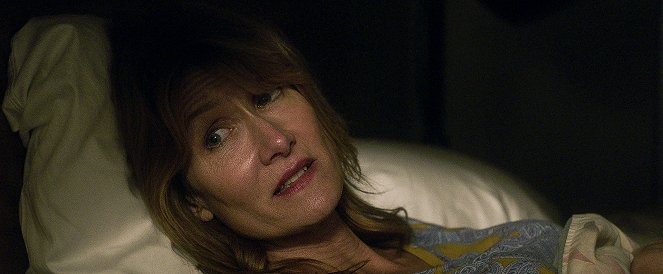 99 Casas - Do filme - Laura Dern