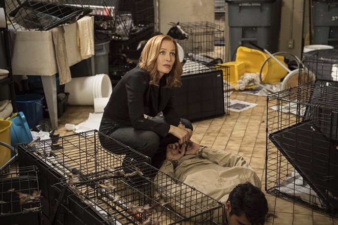 Akte X - Season 10 - Mulder und Scully gegen das Wer-Monster - Filmfotos - Gillian Anderson