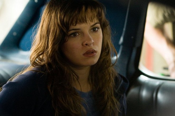 The Crazies - Photos - Danielle Panabaker