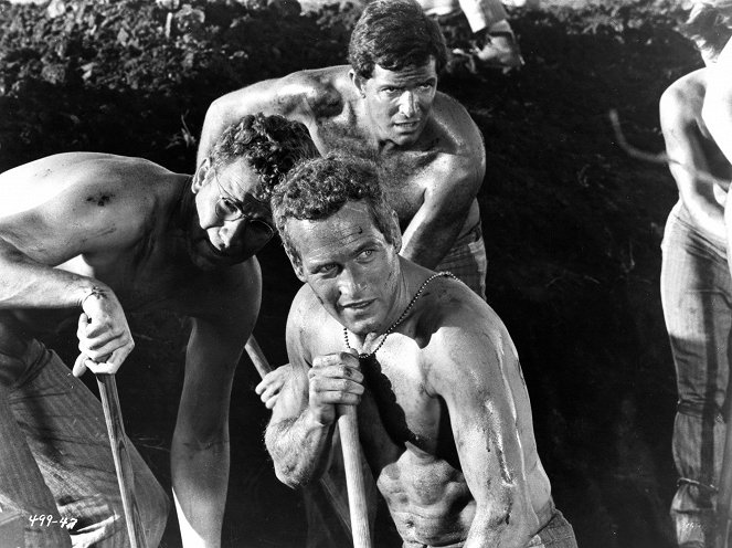 Cool Hand Luke - Van film - Wayne Rogers, Paul Newman