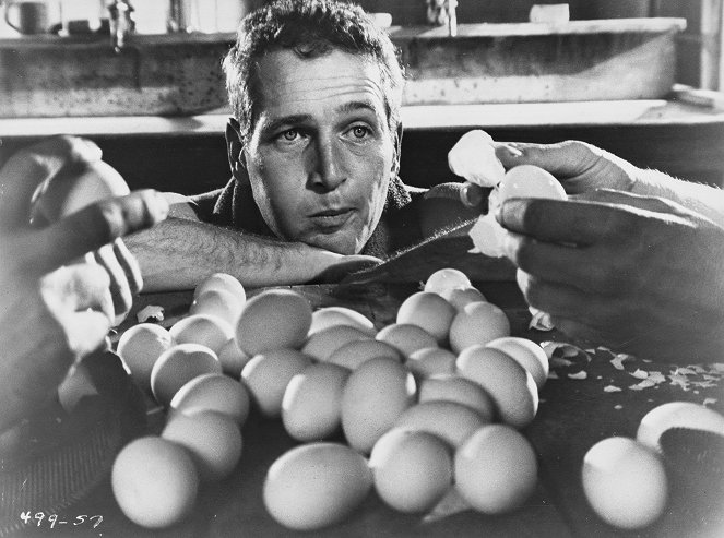 La leyenda del indomable - De la película - Paul Newman