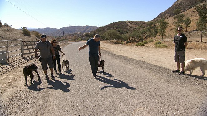Notruf Hund - Einsatz für Cesar - Filmfotos - Cesar Millan