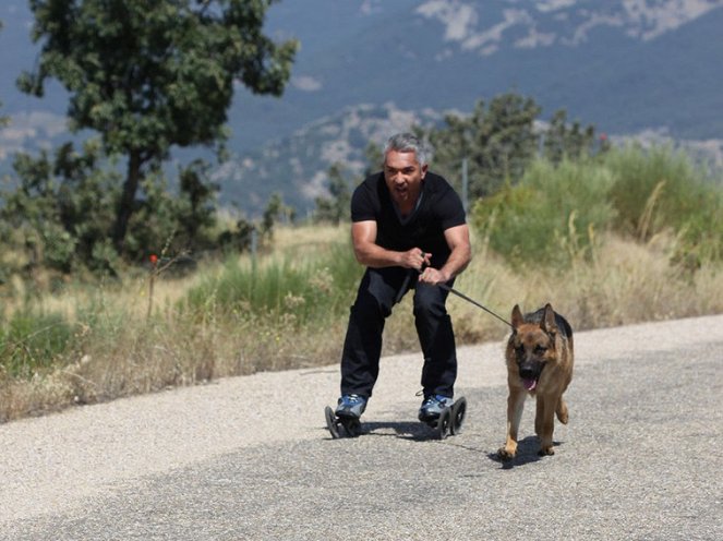 Vůdce smečky Cesara Millana - Z filmu - Cesar Millan