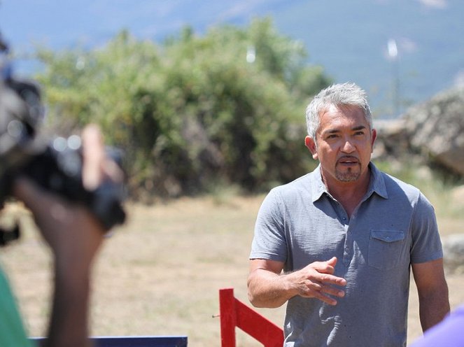 Cesar Millan's Leader of the Pack - Van film - Cesar Millan