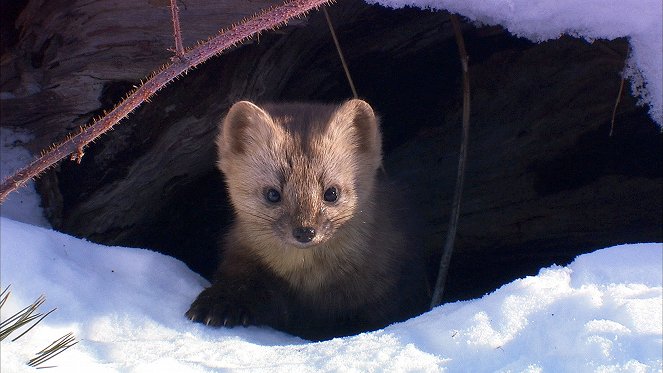 Destination Wild - Kuvat elokuvasta