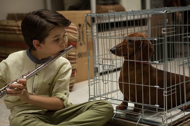 Uma Vida de Cão - Do filme - Keaton Nigel Cooke