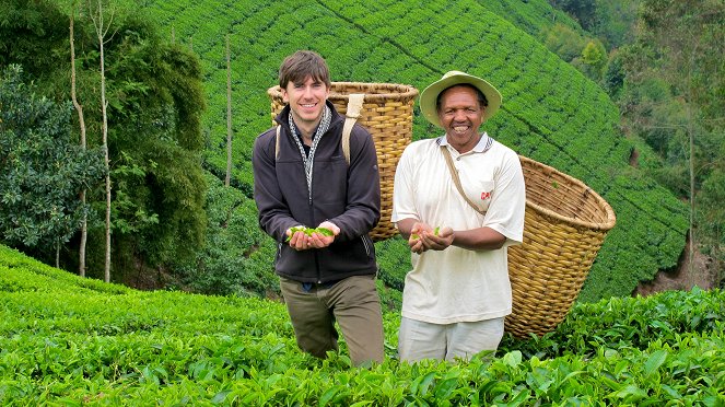 This World: The Tea Trail with Simon Reeve - Do filme - Simon Reeve