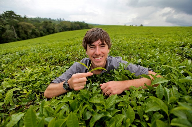 This World: The Tea Trail with Simon Reeve - Photos - Simon Reeve