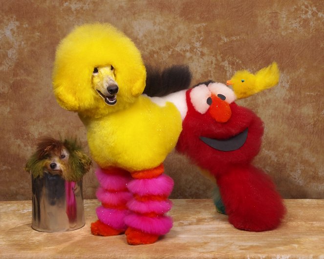 Top Dog: Clash of the Poodles - Photos
