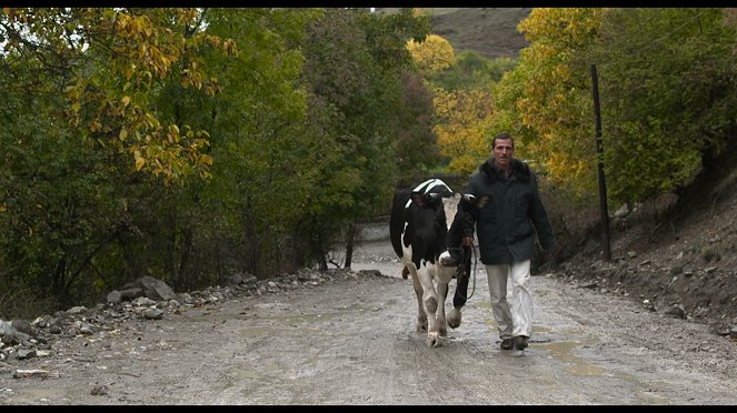 Posvátná kráva - Z filmu