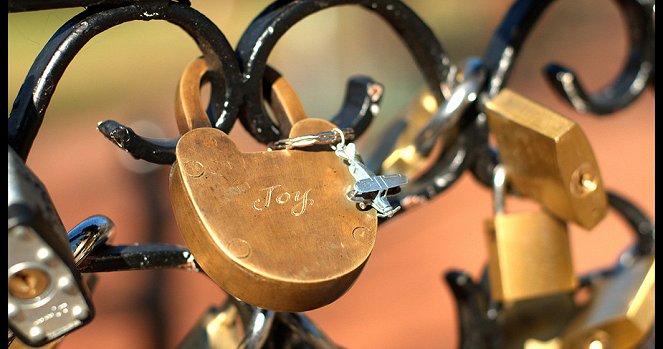 Locks of Love - Photos