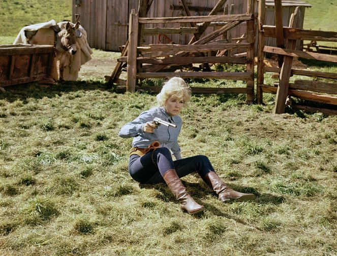 Le Ranch de l'injustice - Film - Doris Day