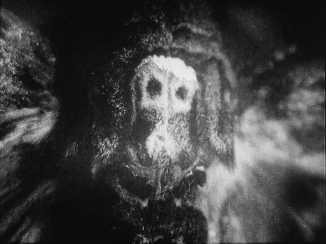 Andalúzsky pes - Z filmu