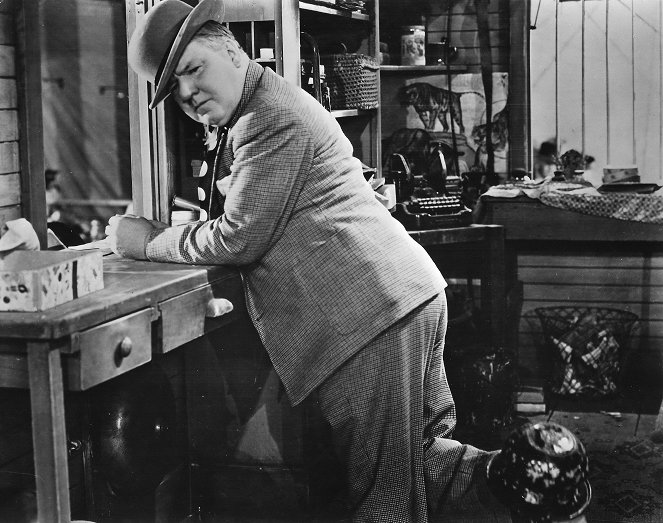 You Can't Cheat an Honest Man - Film - W.C. Fields