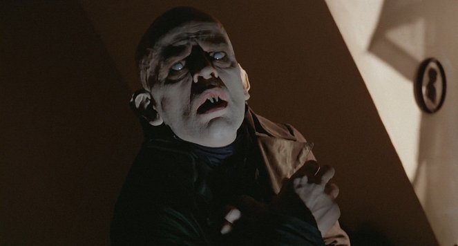 Nosferatu Fantôme de la Nuit - Film - Klaus Kinski
