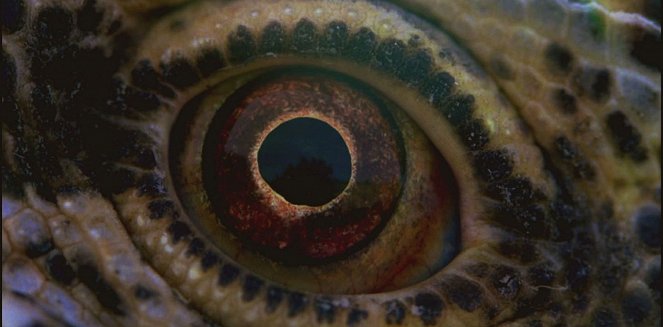 Voyage of Time: Life's Journey - Photos