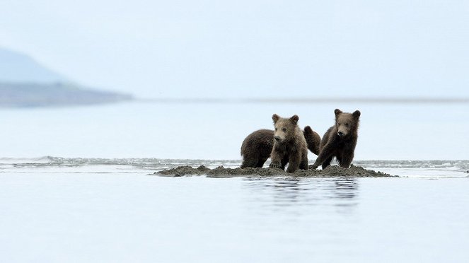 Grizzly-birodalom - Filmfotók