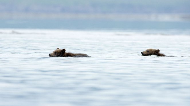 Grizzly-birodalom - Filmfotók