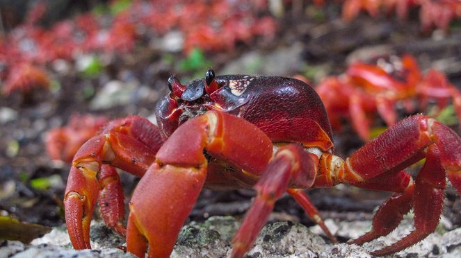 Wonders of the Monsoon - Photos