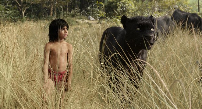 O Livro da Selva - Do filme - Neel Sethi