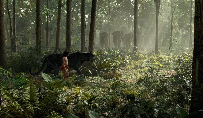 Kniha džungle - Z filmu