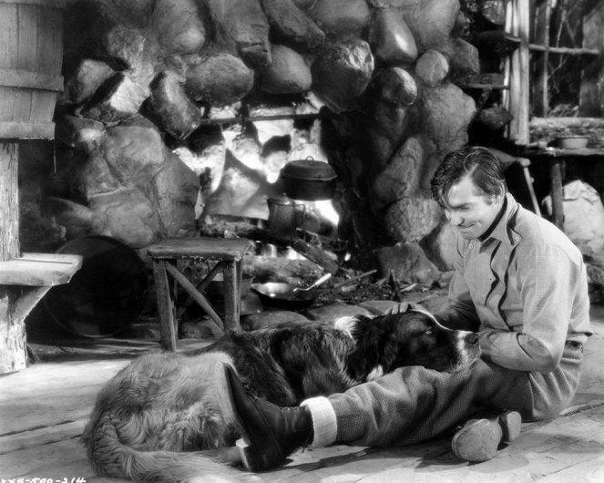 A vadon szava - Filmfotók - Clark Gable