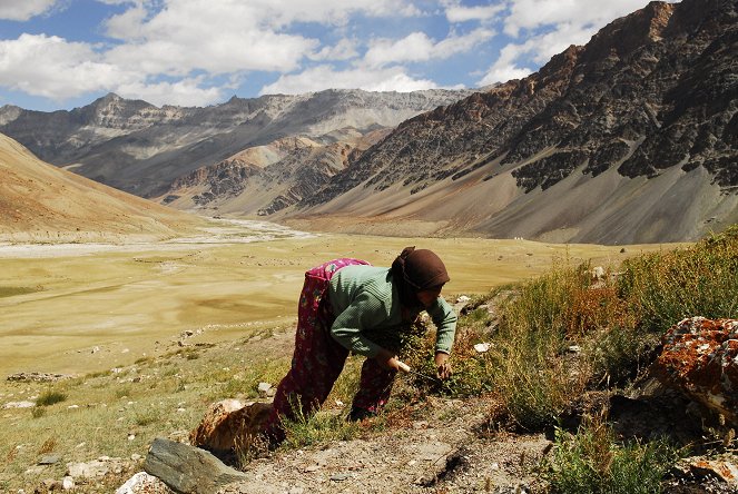 Himalaya, la terre des femmes - Z filmu