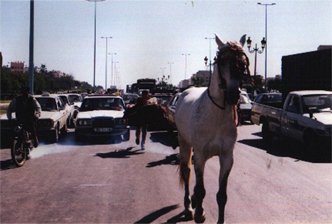 In Casablanca, Angels Don't Fly - Photos