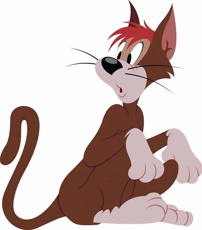 Die Tom und Jerry Show - Werbefoto