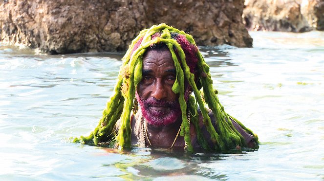 Lee Scratch Perry's Vision of Paradise - Film - Lee "Scratch" Perry